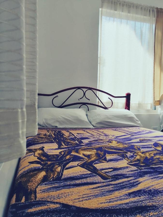 Hostal Maple Керетаро Екстер'єр фото