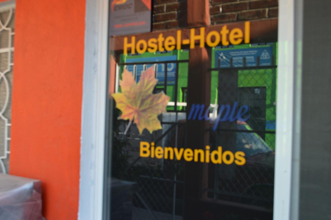 Hostal Maple Керетаро Екстер'єр фото