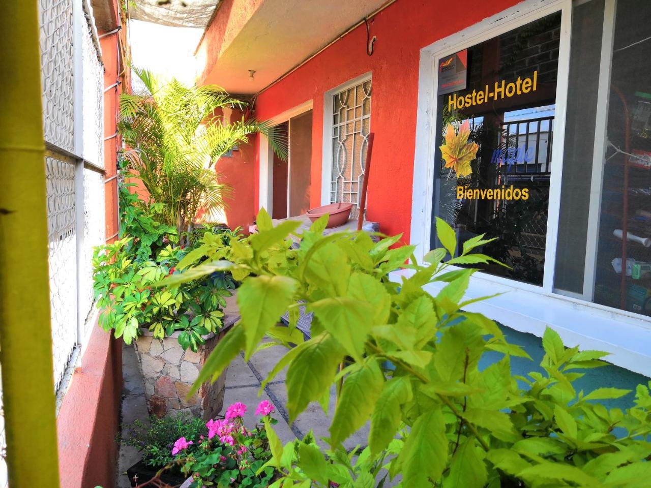 Hostal Maple Керетаро Екстер'єр фото